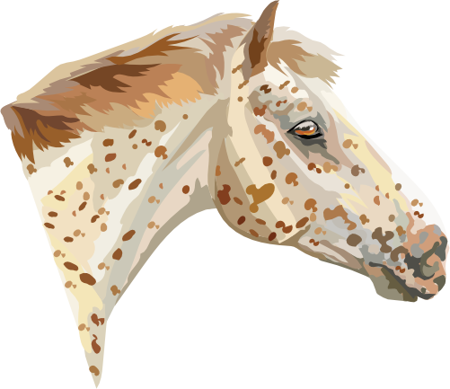 (s287-1H)  Illustrated Horse Head