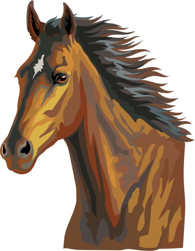 (s287-1P)  Illustrated Horse Head