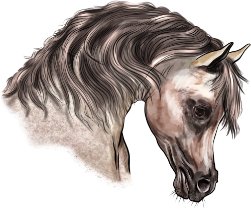 (s098-3-M)  Watercolor Horse