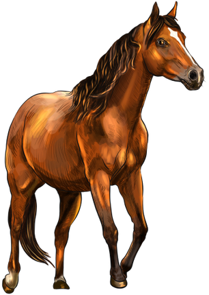 (s098-3-C)  Watercolor Horse