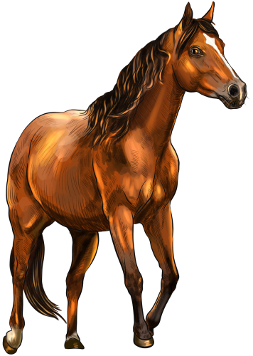 (s098-3-C)  Watercolor Horse