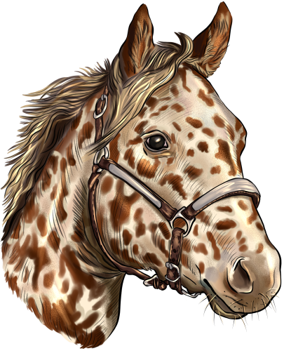 (s098-3-L)  Watercolor Horse