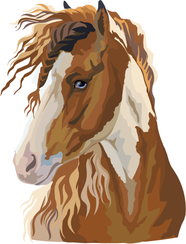 (s287-1W)  Illustrated Horse Head