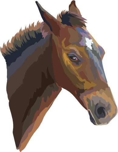 (s287-2C)  Illustrated Horse Head