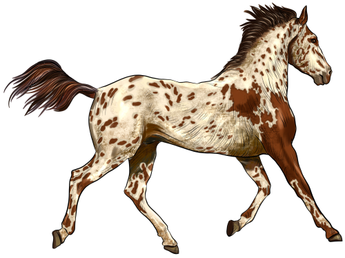 (s098-3-A) Watercolor Horse