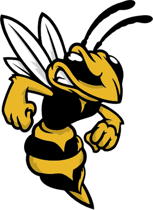 (145-1A-05) Hornet Yellow Jacket Mascot