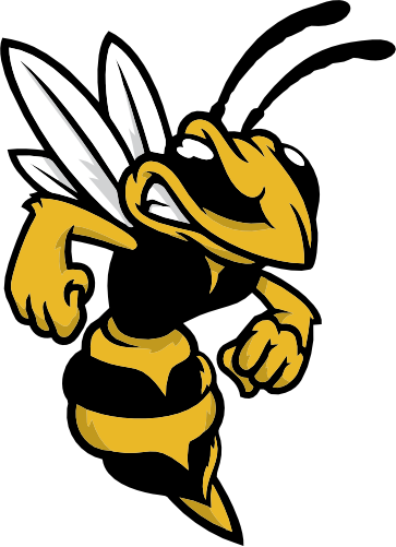 (s145-1-1J) Hornet Yellow Jacket Mascot