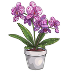 (125-03) Potted Orchids