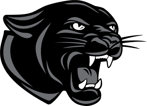 (s145-1-1Y) Panther Mascot