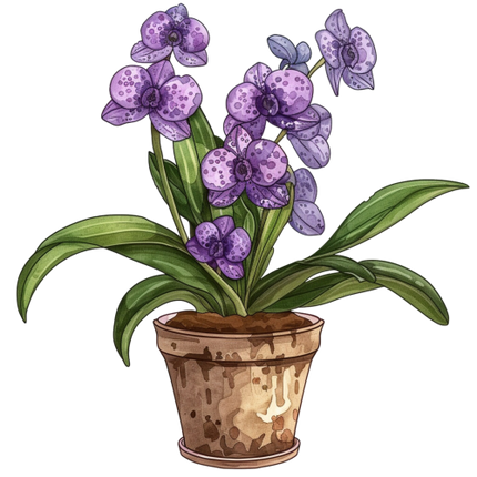 (125-03) Potted Orchids