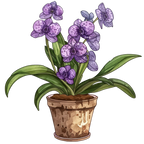(125-03) Potted Orchids