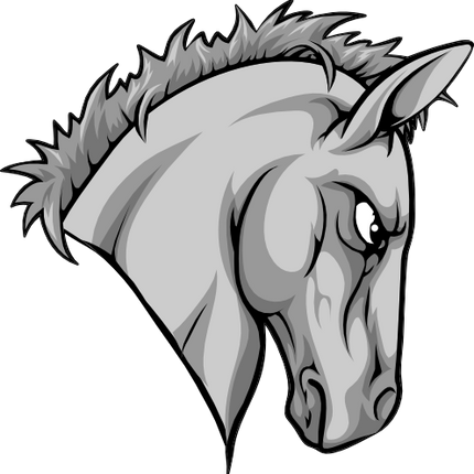 (145-1A-45) Horse Mustang Mascot