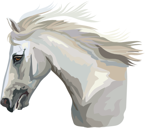(s287-2E)  Illustrated Horse Head