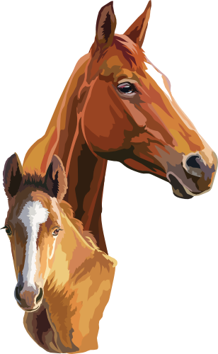 (s287-1A)  Illustrated Mom & Baby Horse Head