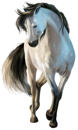 (s109-3-Q)  Watercolor Horse