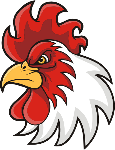 (s145-01-1G)  Rooster Mascot