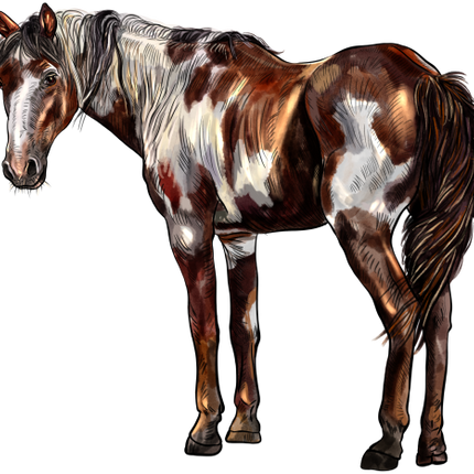 (s098-3-G)  Watercolor Horse