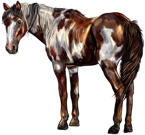 (s098-3-G)  Watercolor Horse