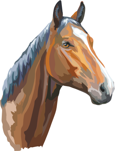 (s287-1F)  Illustrated Horse Head