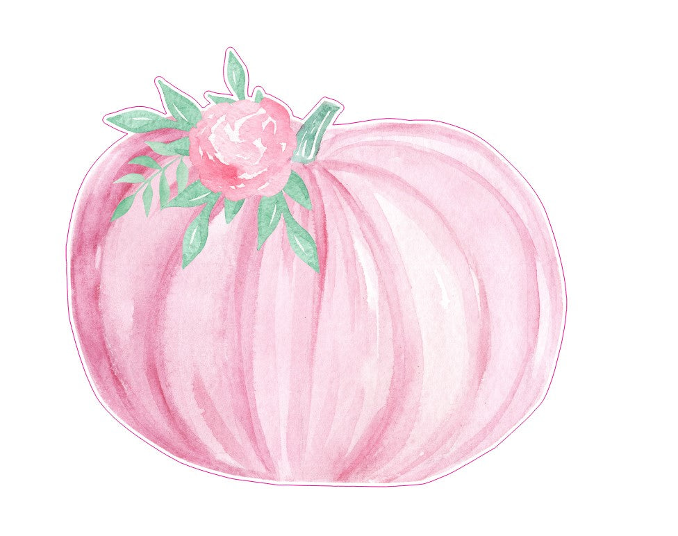 MLP-99 Pink Pumpkin 5.2x6